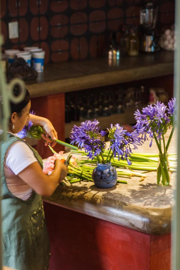 Oaxaca ボカ デル モンテ バイ ディアブロ イ ラ サンディア Bed & Breakfast エクステリア 写真